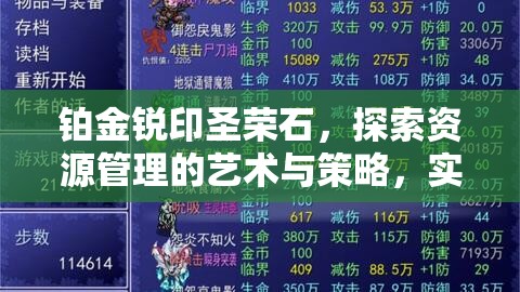铂金锐印圣荣石，探索资源管理的艺术与策略，实现高效利用