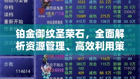 铂金御纹圣荣石，全面解析资源管理、高效利用策略及避免浪费的终极实践指南