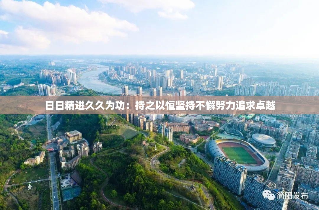 日日精进久久为功：持之以恒坚持不懈努力追求卓越