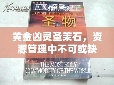 黄金凶灵圣茉石，资源管理中不可或缺的璀璨瑰宝与价值探索