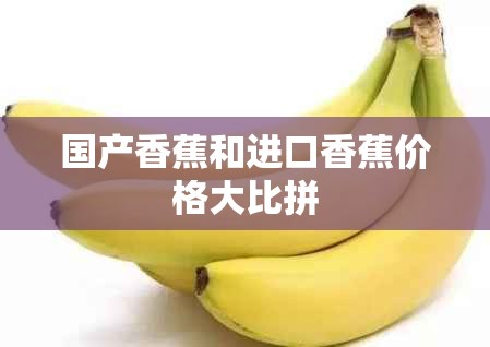 国产香蕉和进口香蕉价格大比拼