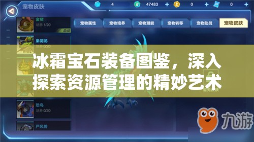 冰霜宝石装备图鉴，深入探索资源管理的精妙艺术与实战策略