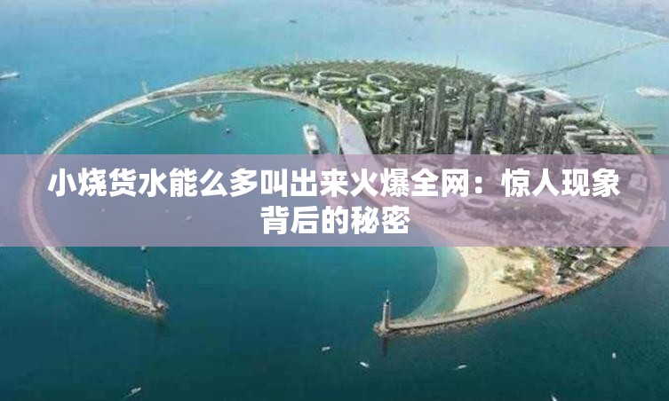 小烧货水能么多叫出来火爆全网：惊人现象背后的秘密