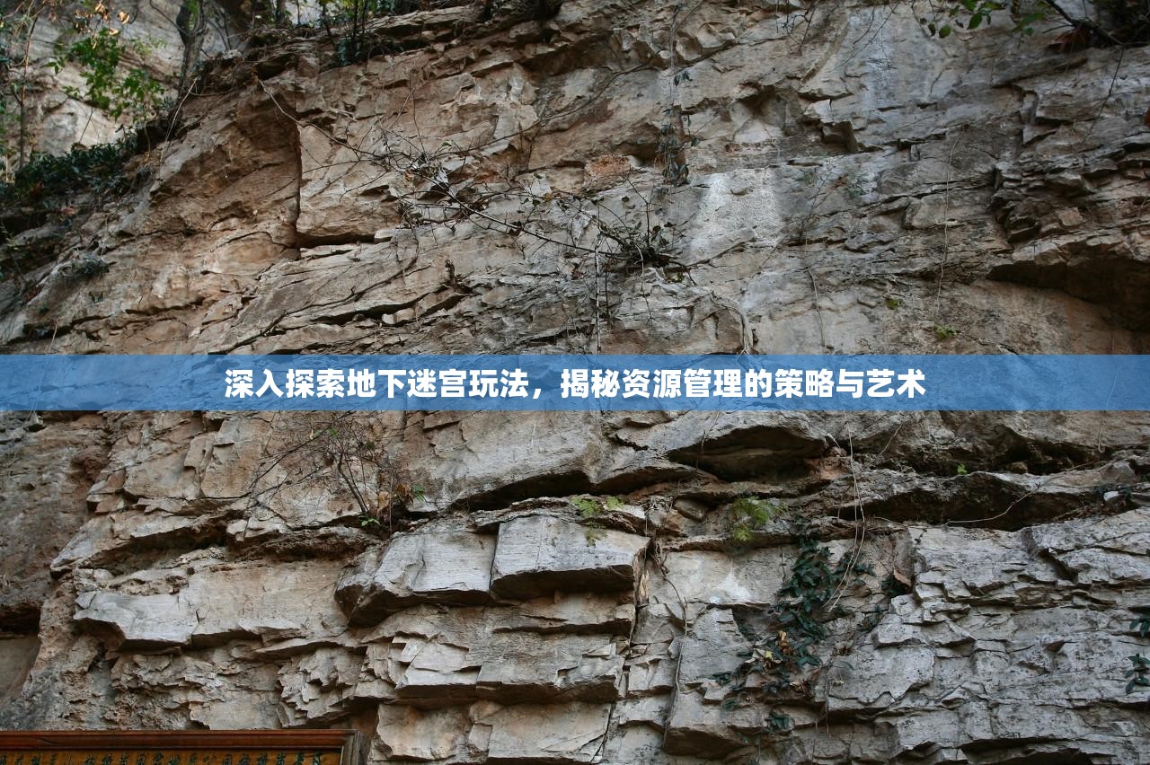 深入探索地下迷宫玩法，揭秘资源管理的策略与艺术