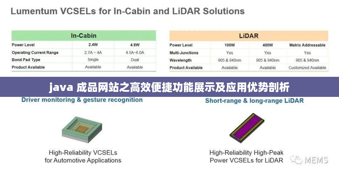 java 成品网站之高效便捷功能展示及应用优势剖析