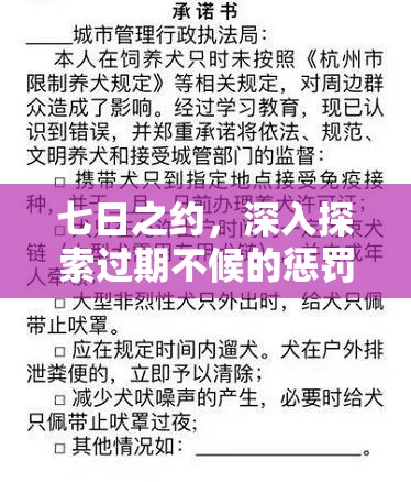 七日之约，深入探索过期不候的惩罚与惊喜延续的奖励机制奥秘