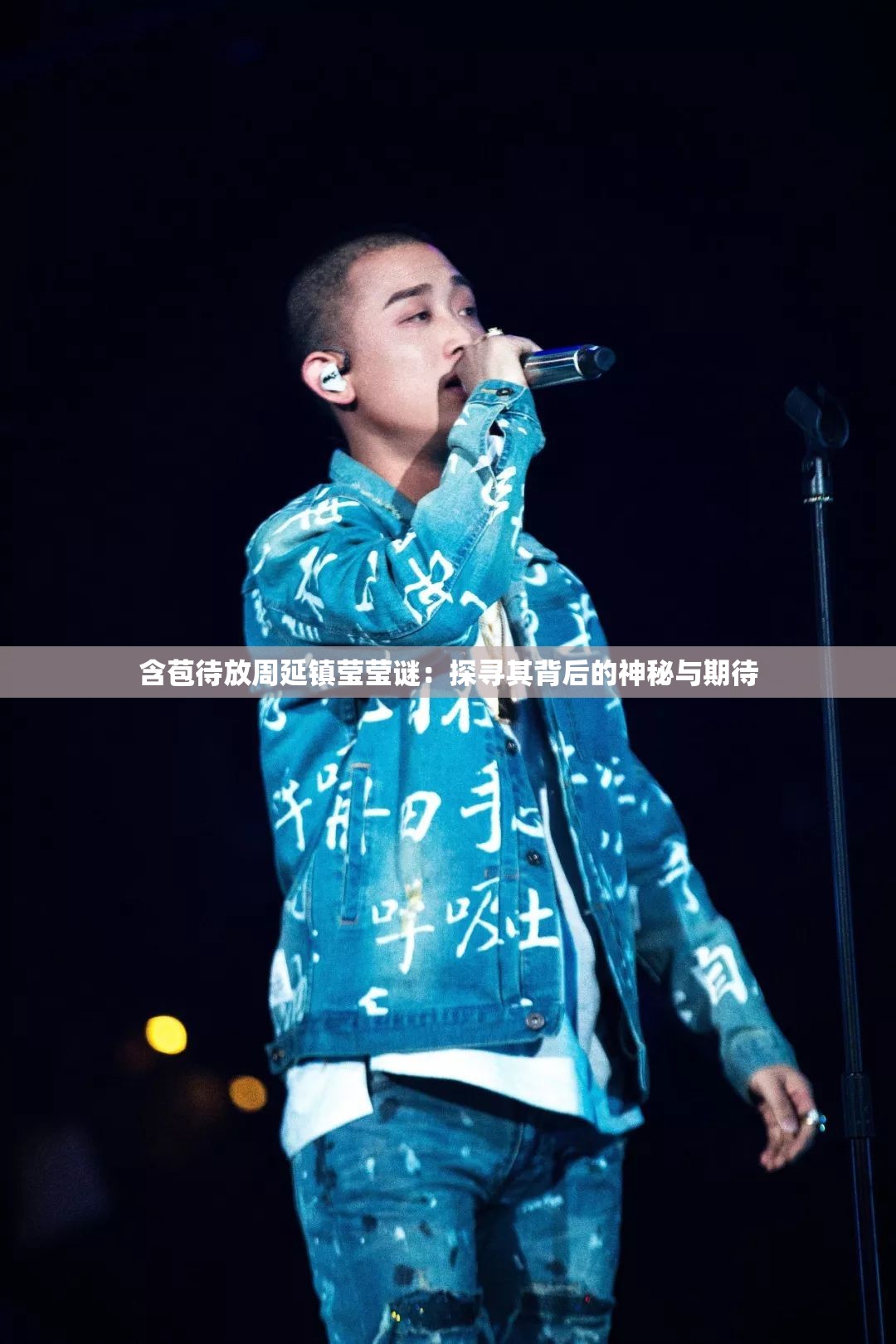 含苞待放周延镇莹莹谜：探寻其背后的神秘与期待