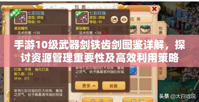 手游10级武器剑铁齿剑图鉴详解，探讨资源管理重要性及高效利用策略