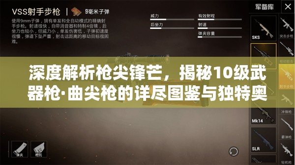 深度解析枪尖锋芒，揭秘10级武器枪·曲尖枪的详尽图鉴与独特奥秘