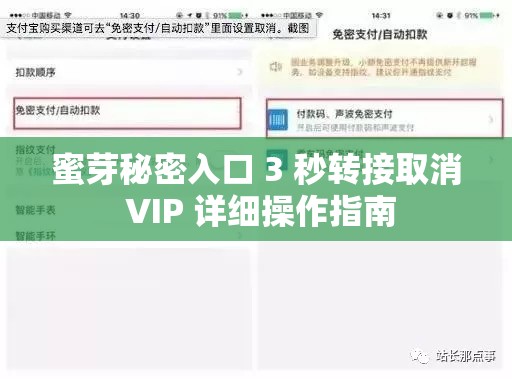 蜜芽秘密入口 3 秒转接取消 VIP 详细操作指南