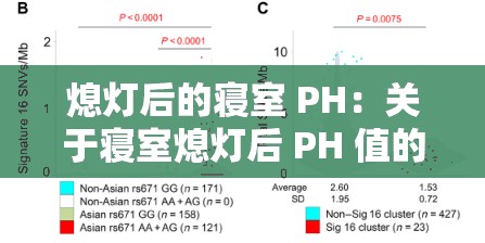 熄灯后的寝室 PH：关于寝室熄灯后 PH 值的深入探讨与分析