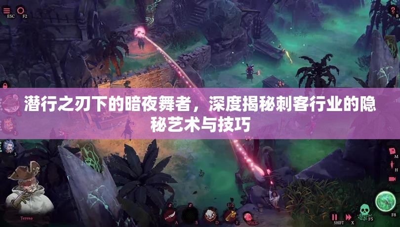 潜行之刃下的暗夜舞者，深度揭秘刺客行业的隐秘艺术与技巧