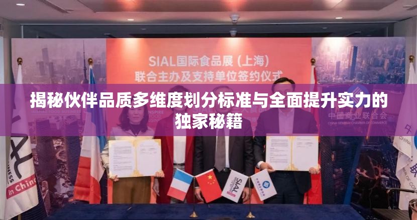 揭秘伙伴品质多维度划分标准与全面提升实力的独家秘籍