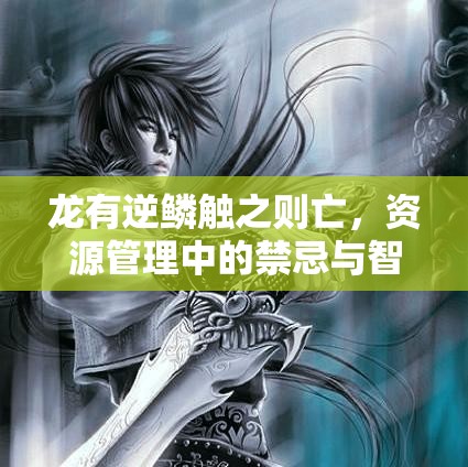 龙有逆鳞触之则亡，资源管理中的禁忌与智慧启示录