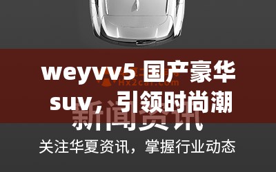 weyvv5 国产豪华 suv，引领时尚潮流