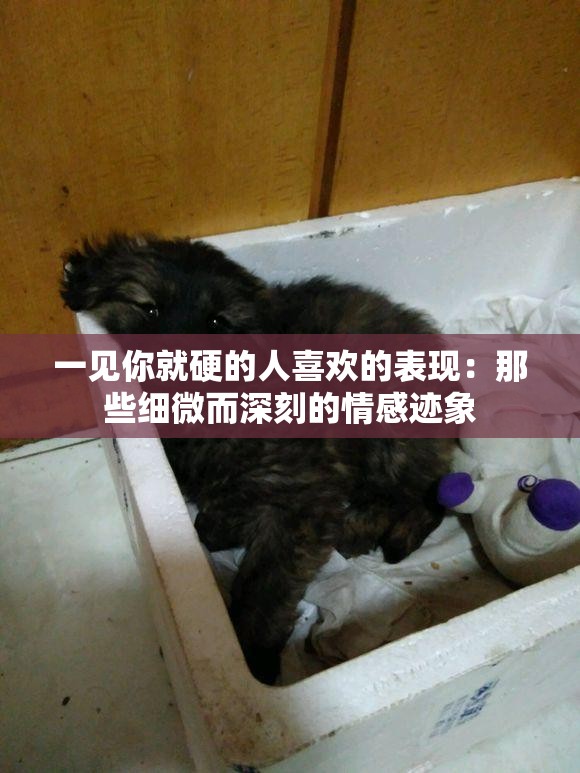 一见你就硬的人喜欢的表现：那些细微而深刻的情感迹象