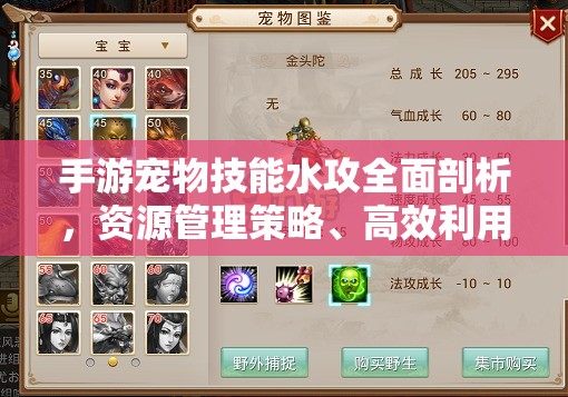 手游宠物技能水攻全面剖析，资源管理策略、高效利用技巧及价值最大化指南