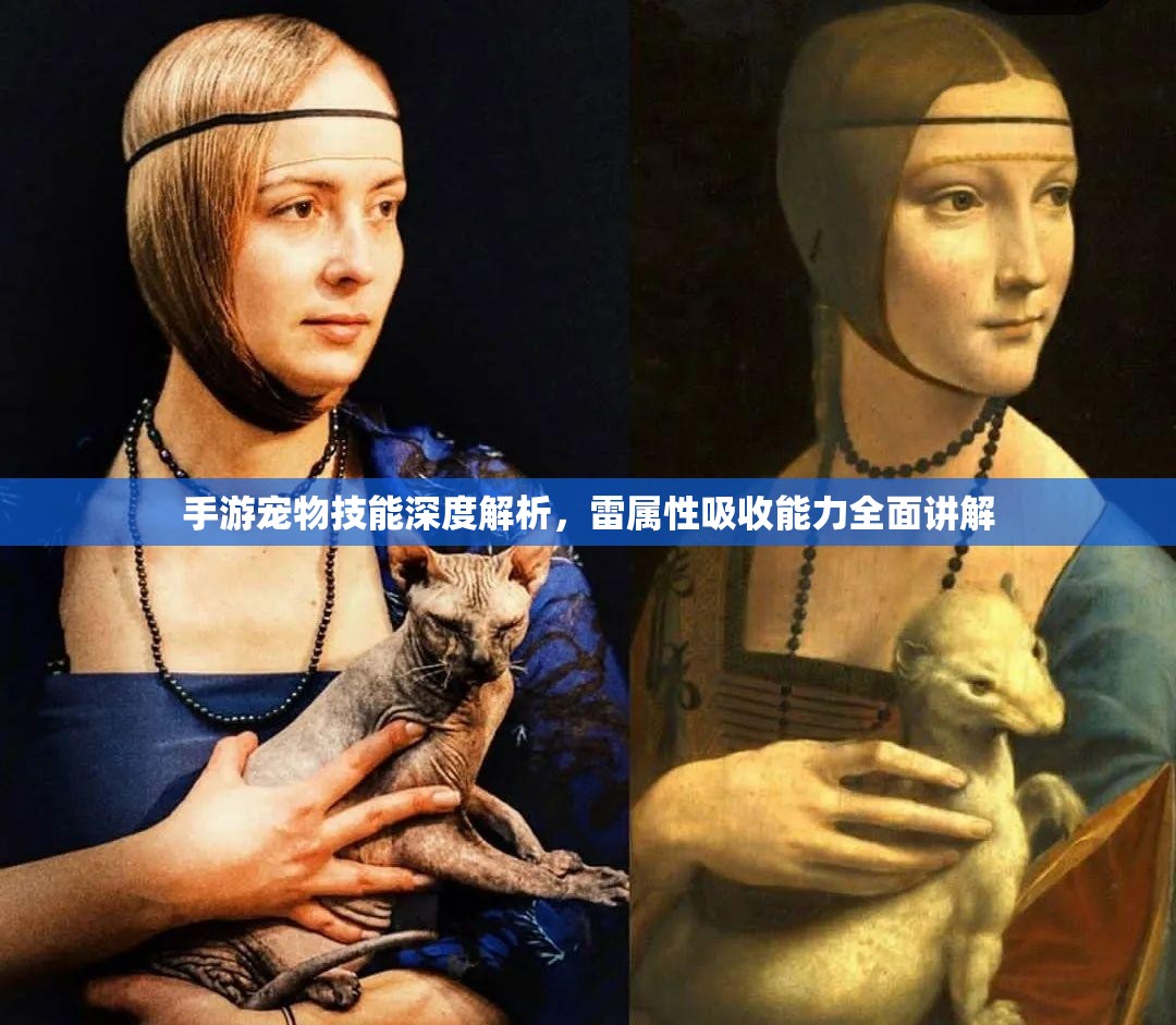 手游宠物技能深度解析，雷属性吸收能力全面讲解
