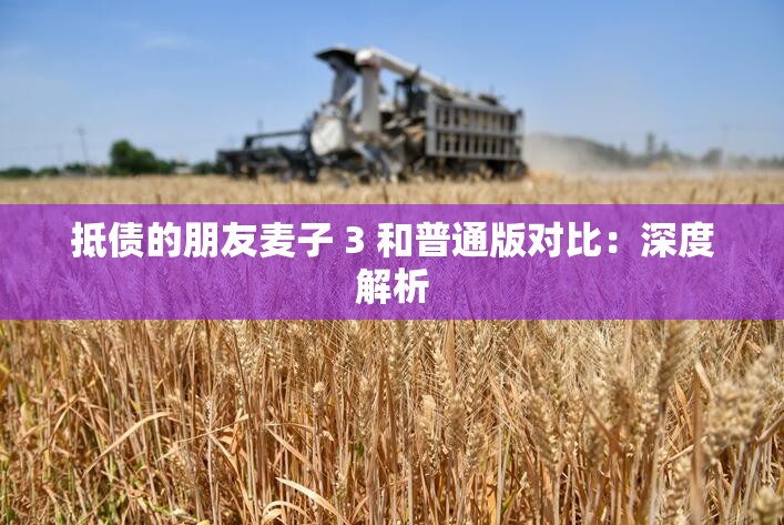 抵债的朋友麦子 3 和普通版对比：深度解析