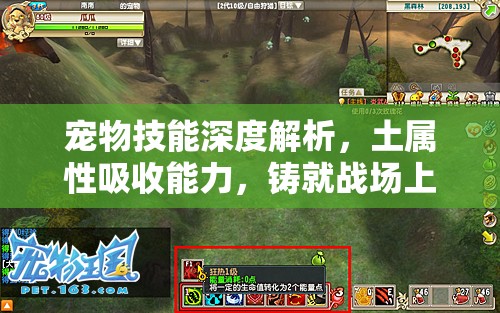宠物技能深度解析，土属性吸收能力，铸就战场上的坚不可摧守护神
