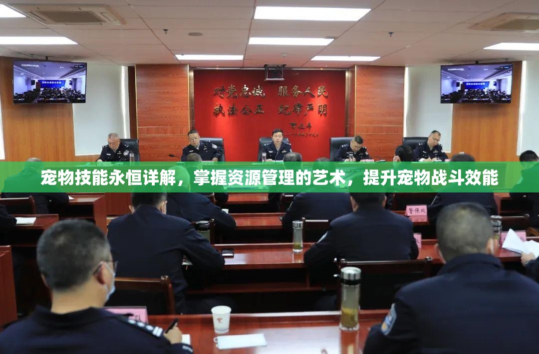 宠物技能永恒详解，掌握资源管理的艺术，提升宠物战斗效能