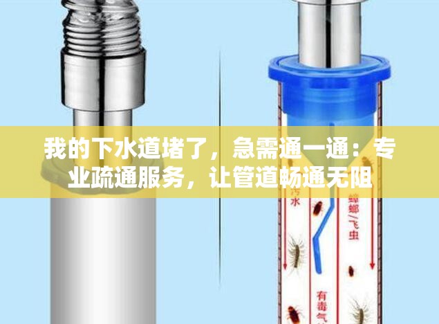 我的下水道堵了，急需通一通：专业疏通服务，让管道畅通无阻