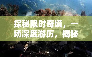 探秘限时奇境，一场深度游历，揭秘帮派百草谷的神秘面纱