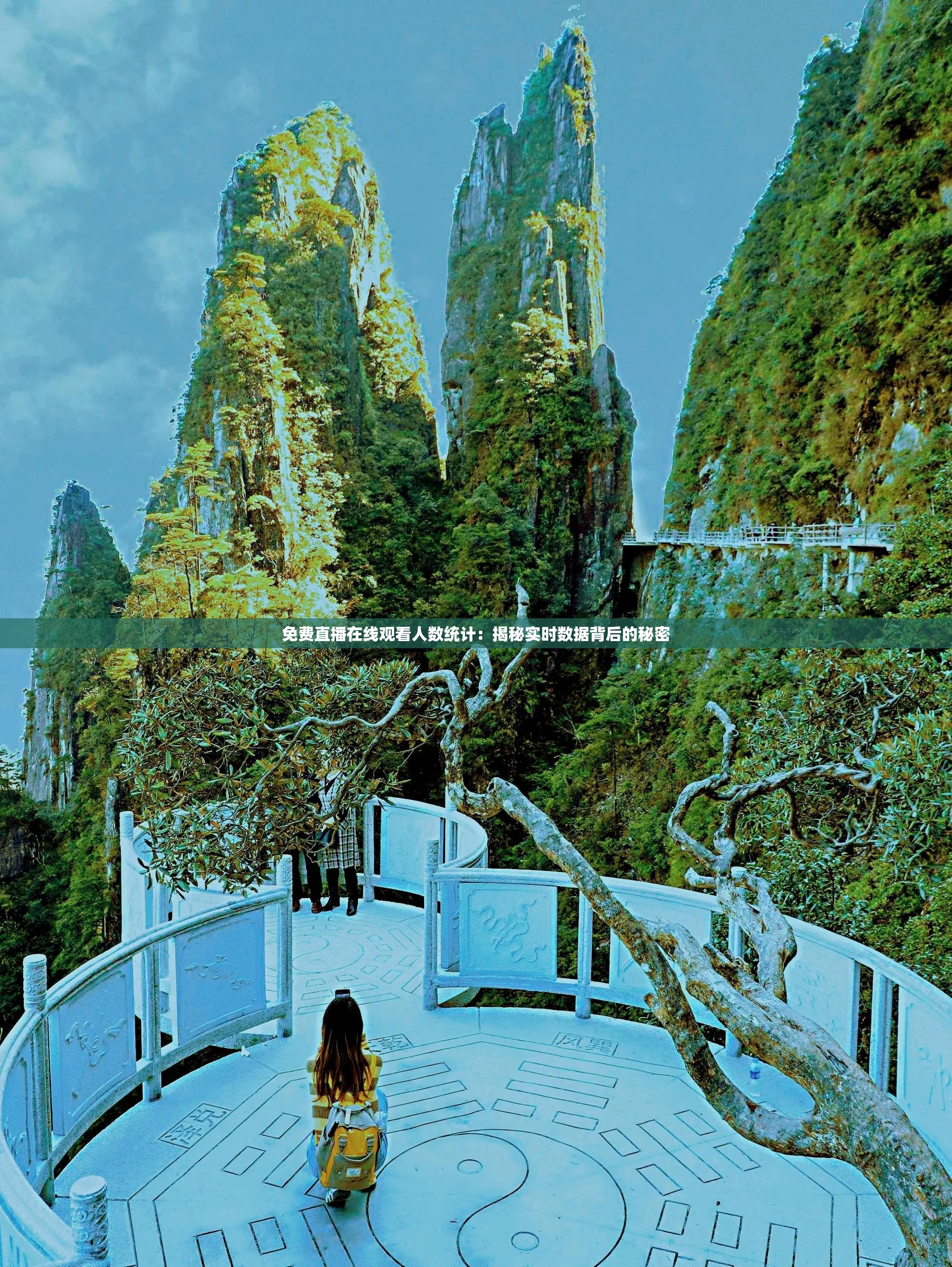 免费直播在线观看人数统计：揭秘实时数据背后的秘密