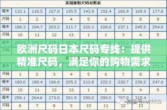 欧洲尺码日本尺码专线：提供精准尺码，满足你的购物需求
