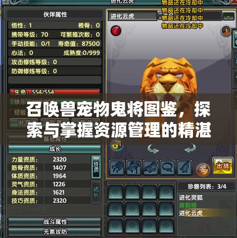 召唤兽宠物鬼将图鉴，探索与掌握资源管理的精湛艺术