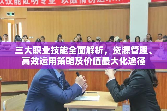 三大职业技能全面解析，资源管理、高效运用策略及价值最大化途径