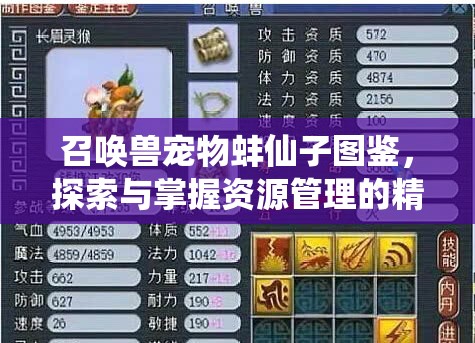 召唤兽宠物蚌仙子图鉴，探索与掌握资源管理的精致艺术
