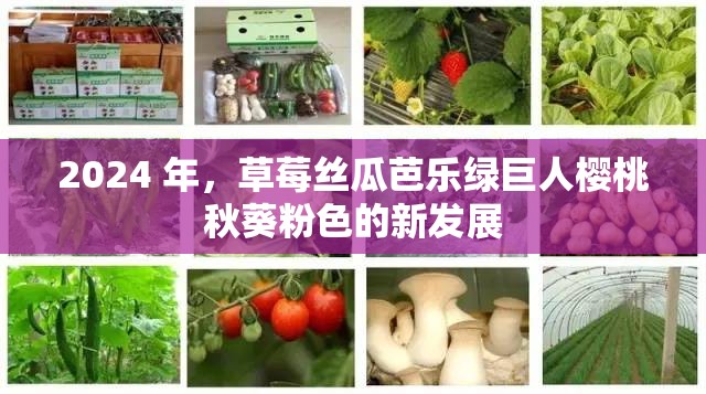 2024 年，草莓丝瓜芭乐绿巨人樱桃秋葵粉色的新发展