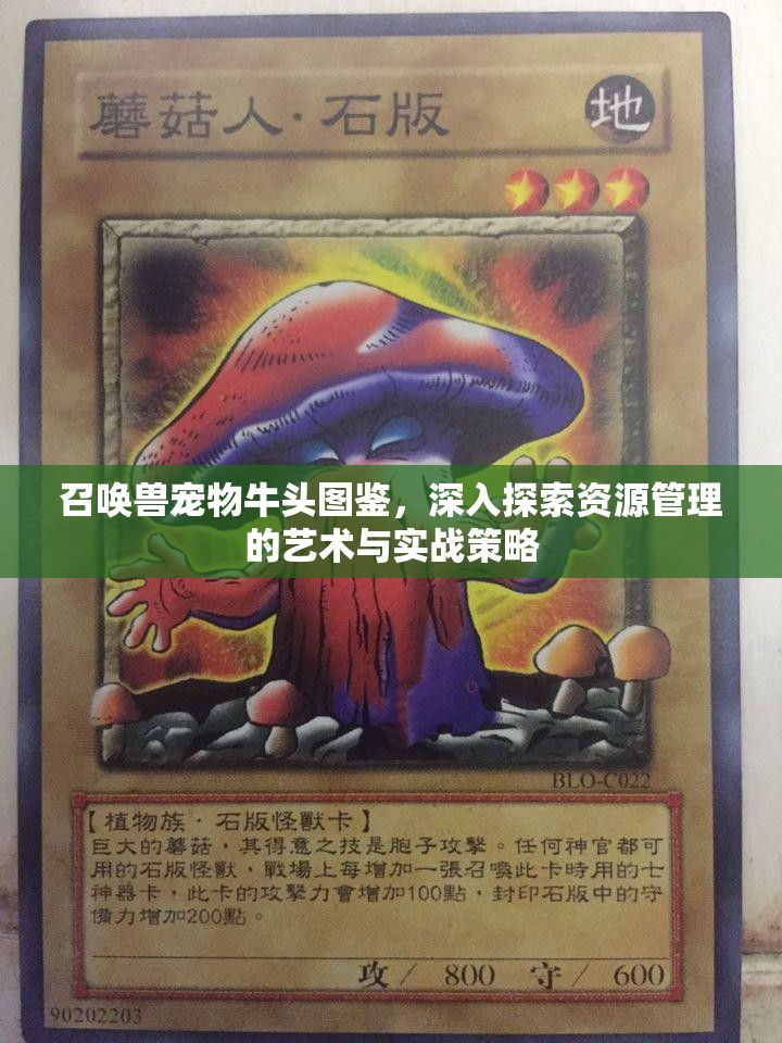召唤兽宠物牛头图鉴，深入探索资源管理的艺术与实战策略