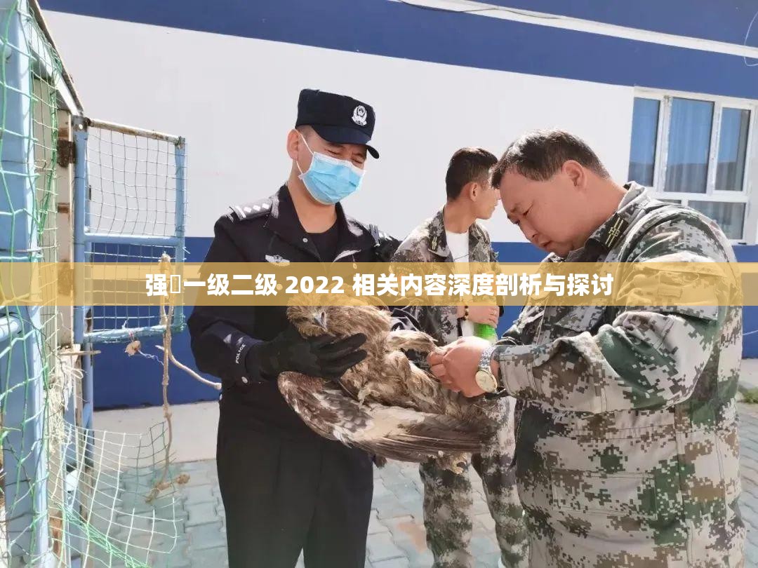 强㢨一级二级 2022 相关内容深度剖析与探讨