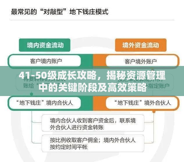 41-50级成长攻略，揭秘资源管理中的关键阶段及高效策略