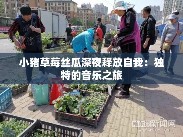 小猪草莓丝瓜深夜释放自我：独特的音乐之旅