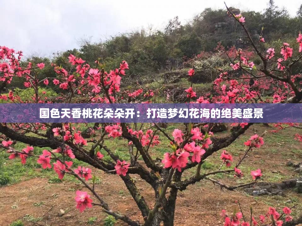 国色天香桃花朵朵开：打造梦幻花海的绝美盛景