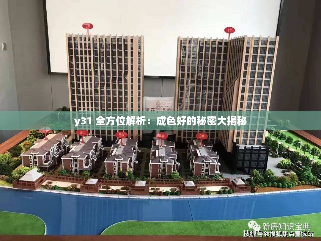y31 全方位解析：成色好的秘密大揭秘