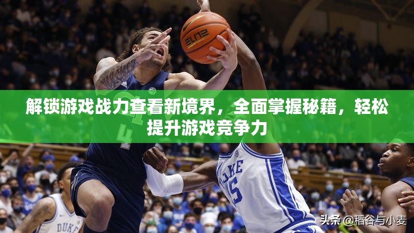 解锁游戏战力查看新境界，全面掌握秘籍，轻松提升游戏竞争力