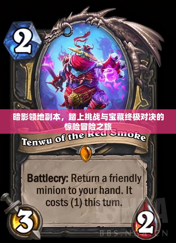 暗影领地副本，踏上挑战与宝藏终极对决的惊险冒险之旅