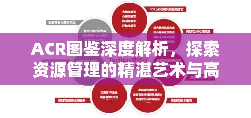 ACR图鉴深度解析，探索资源管理的精湛艺术与高效策略