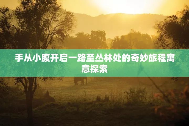手从小腹开启一路至丛林处的奇妙旅程寓意探索