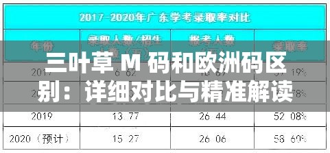 三叶草 M 码和欧洲码区别：详细对比与精准解读