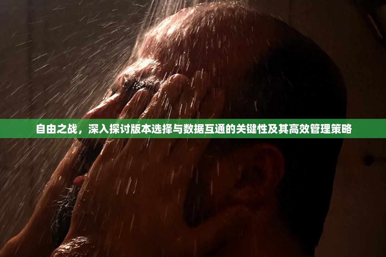 自由之战，深入探讨版本选择与数据互通的关键性及其高效管理策略