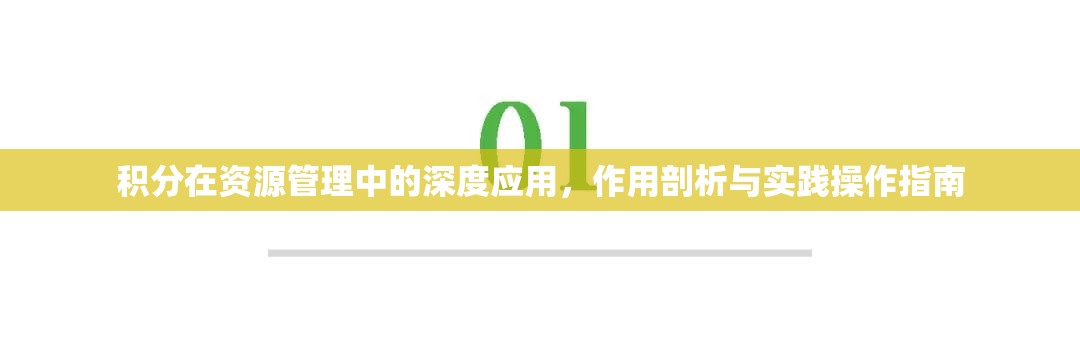 积分在资源管理中的深度应用，作用剖析与实践操作指南
