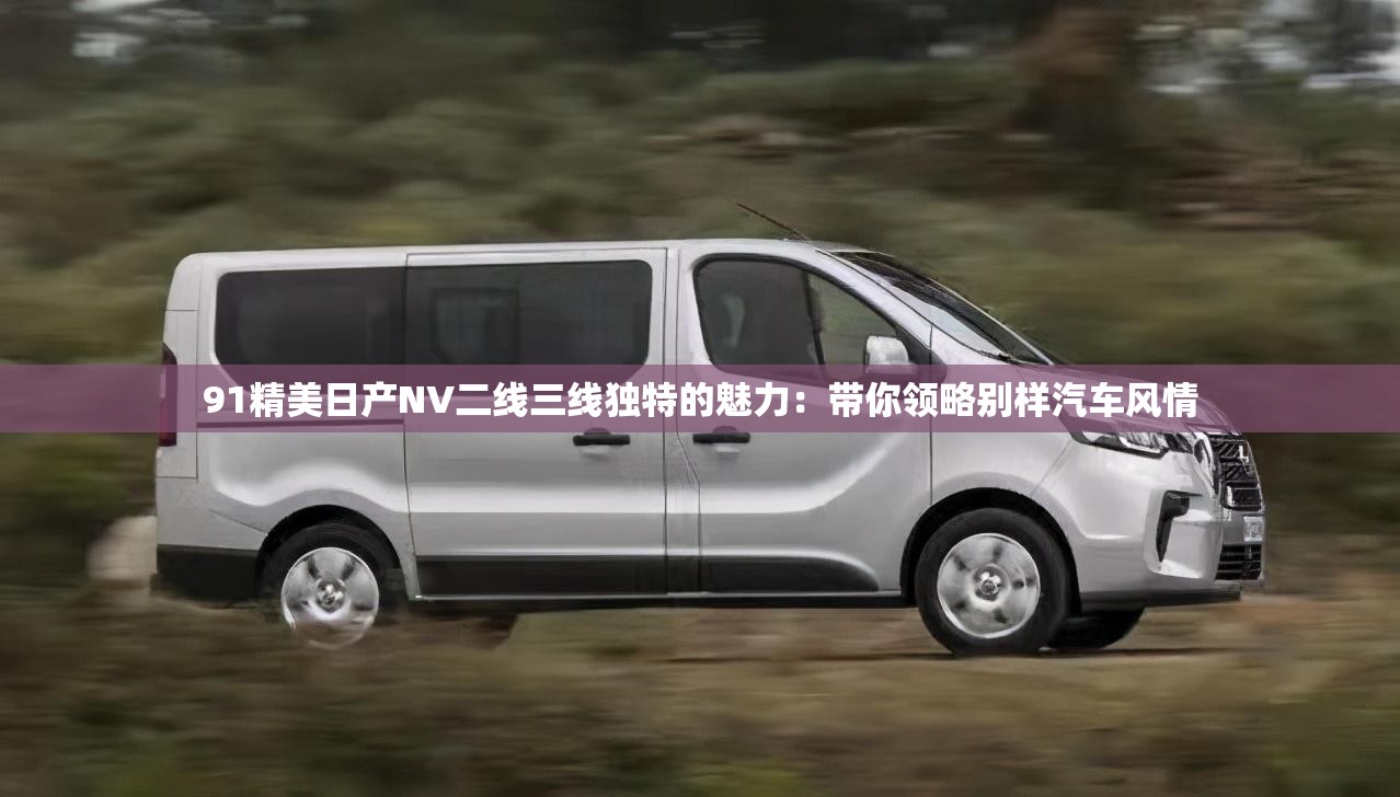 91精美日产NV二线三线独特的魅力：带你领略别样汽车风情