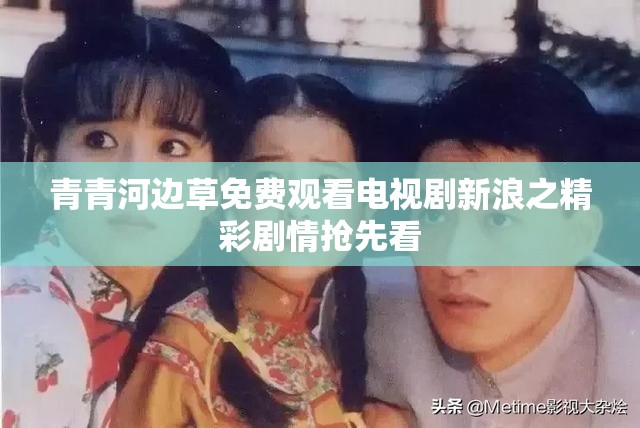 青青河边草免费观看电视剧新浪之精彩剧情抢先看