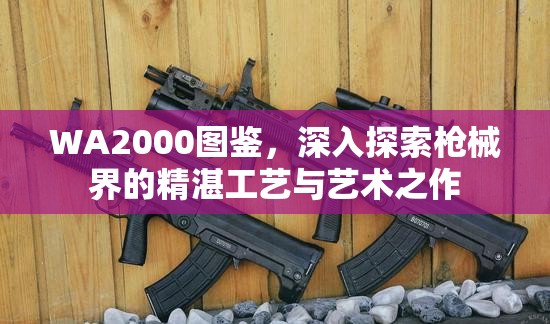 WA2000图鉴，深入探索枪械界的精湛工艺与艺术之作