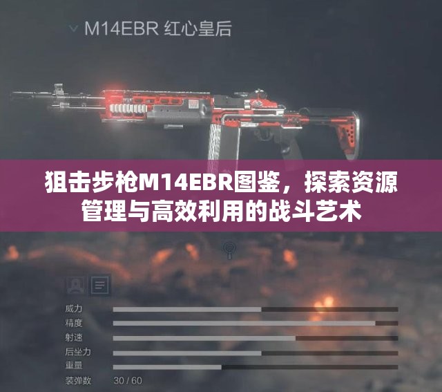 狙击步枪M14EBR图鉴，探索资源管理与高效利用的战斗艺术